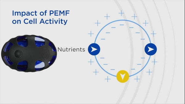 Oska® Pulse Wearable PEMF Pain Relief Medical Device I Standard I 90 mins